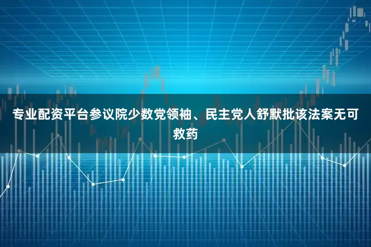 专业配资平台参议院少数党领袖、民主党人舒默批该法案无可救药