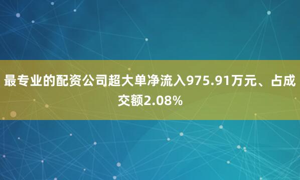 最专业的配资公司超大单净流入975.91万元、占成交额2.08%