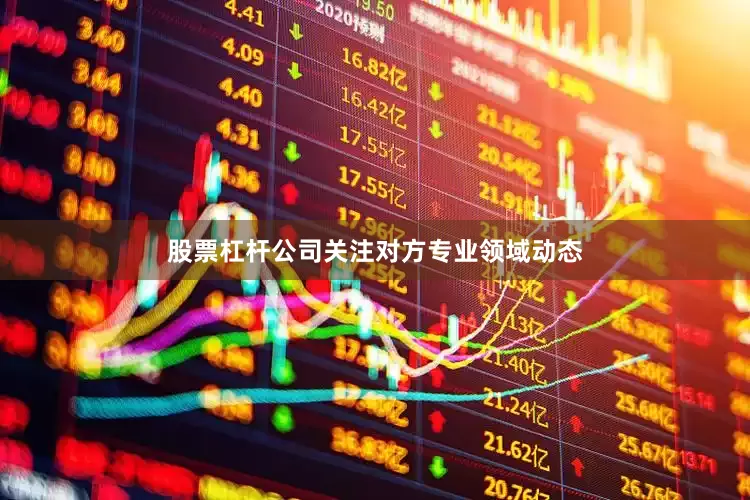 股票杠杆公司关注对方专业领域动态