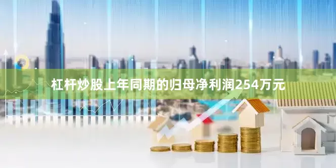 杠杆炒股上年同期的归母净利润254万元