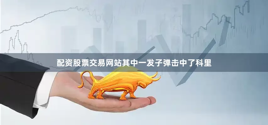 配资股票交易网站其中一发子弹击中了科里