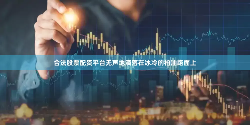 合法股票配资平台无声地滴落在冰冷的柏油路面上