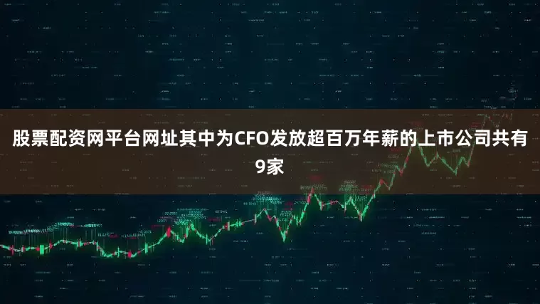 股票配资网平台网址其中为CFO发放超百万年薪的上市公司共有9家